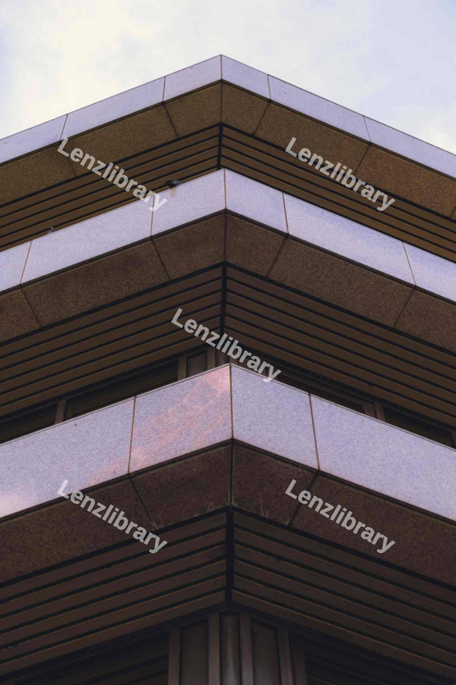 Estate Symmetry